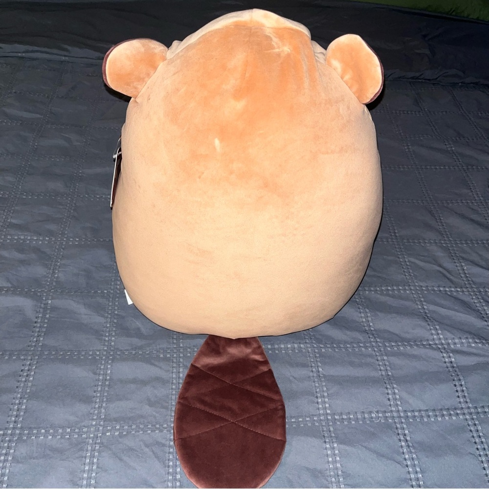 Squishmallow 2024 Chip the Beaver - Picture 4 of 7